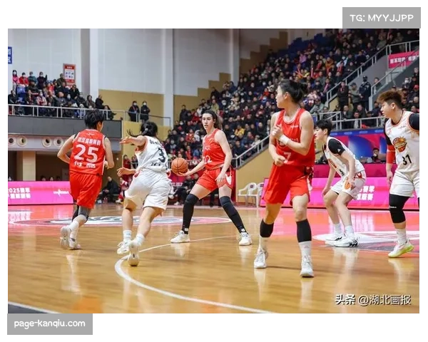 WCBA球员输出效率普遍提升 每30分钟得分成衡量新标准